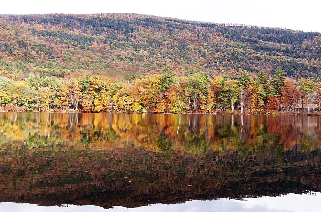 As much as possible, Vermont Butcherblock Products are made from trees from the Working Landscape of Vermont. This image shows some of the beautiful fall foliage that is on display each fall - courtesy of the trees used in your products.